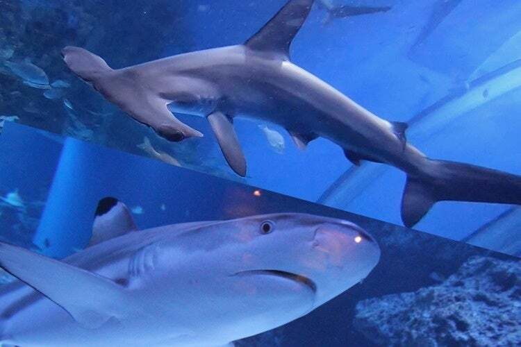 写真はイメージ