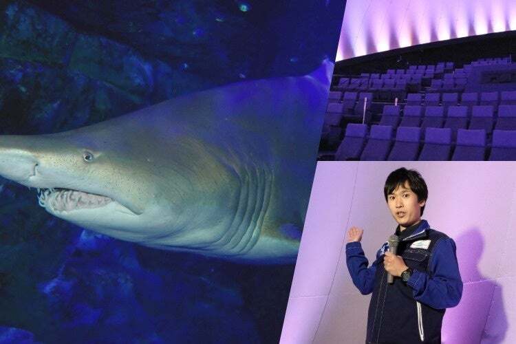 写真はイメージ