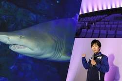 写真はイメージ