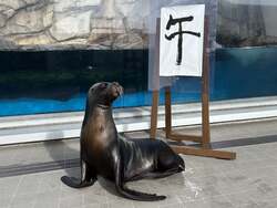「仙台うみの杜水族館でお正月イベント開催！　生きものたちの書き初めや福笑いも」の写真