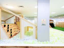 「愛知県知立市に室内公園施設「こどもっちパーク ちりゅう店」がOPEN！　全国15店舗目」の写真