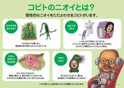 「「こびとづかん」体験型マーケット福岡・広島で開催！新ゲーム・展示がパワーアップ」の写真