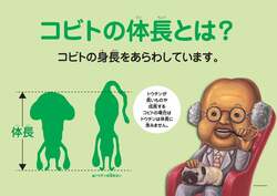 「「こびとづかん」体験型マーケット福岡・広島で開催！新ゲーム・展示がパワーアップ」の写真