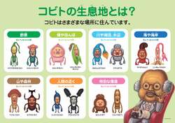 「「こびとづかん」体験型マーケット福岡・広島で開催！新ゲーム・展示がパワーアップ」の写真