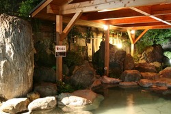 「【2025-26埼玉】年末年始も営業！一日中親子で楽しめるスーパー銭湯＆日帰り温泉11選」の写真