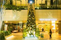 「東京都内の公園で冬のイルミネーション巡り！　緑と光が織りなす無料イベント5選」の写真