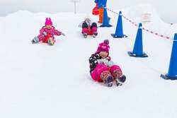 「札幌市豊平区「羊ヶ丘スノーパーク2026」雪まつり期間は中学生以下入場無料」の写真