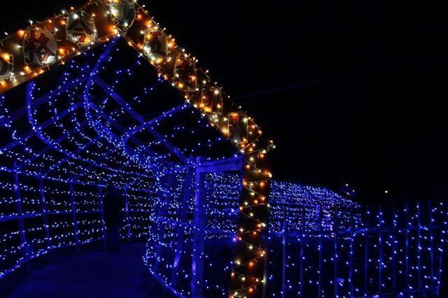 多久聖廟 年末年始イルミネーション（写真は以前開催のもの）