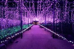 光の日本庭園　ジパング 〜JIPANG〜