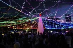 第41回 周南冬のツリーまつり 〜ウィンターイルミネーション2025〜