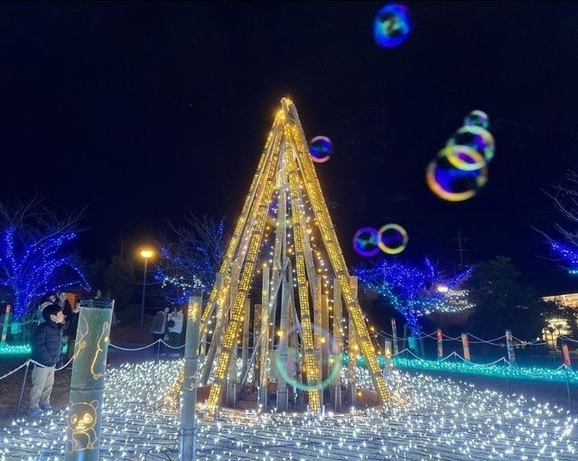 Milight IZUMO2025／2023年度事業のようす