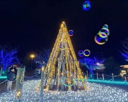 Milight IZUMO2025／2023年度事業のようす