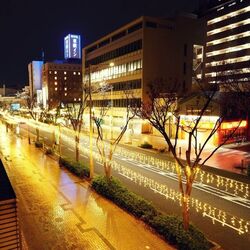 堺イルミネーション2025