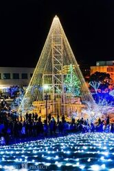 知立ドリームイルミネーション2025〜まだまだやっちゃう！ヒカリの衝撃〜／(c)知立市観光協会