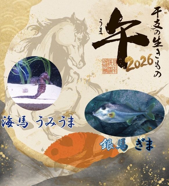 企画展『干支の生きもの「午」』