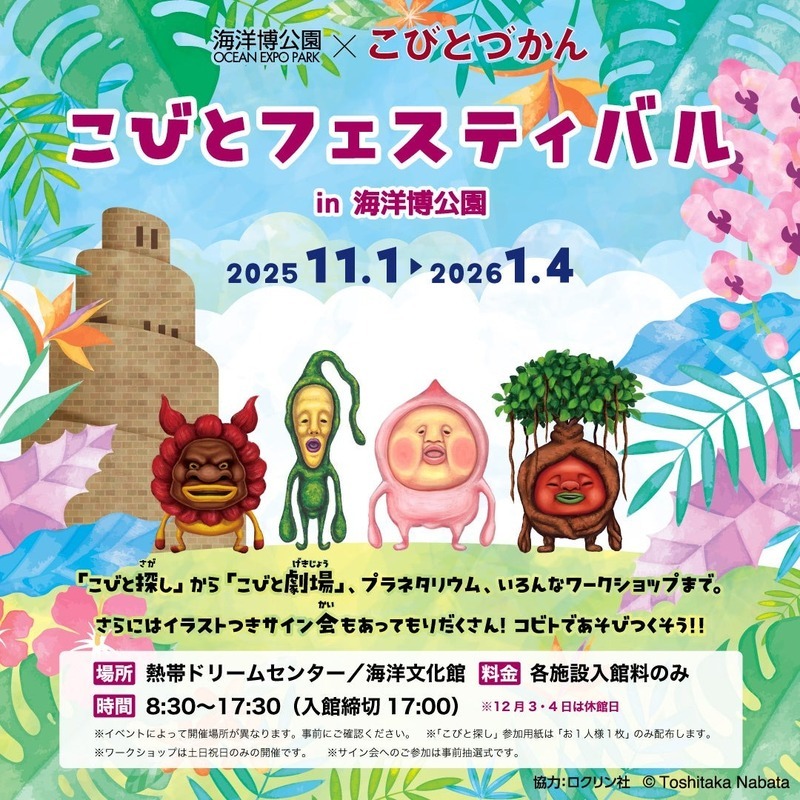 こびとフェスティバル in 海洋博公園｜（C）Toshitaka Nabata