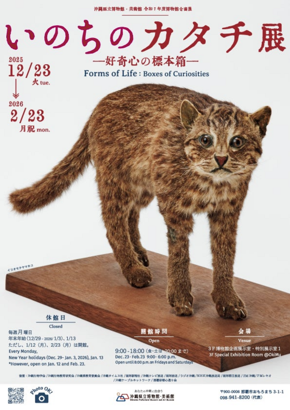 いのちのカタチ展 好奇心の標本箱