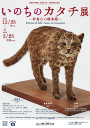いのちのカタチ展 好奇心の標本箱