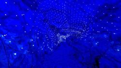 竜ヶ岩洞イルミネーション「電飾土蛍」