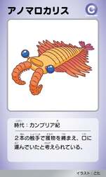 「静岡科学館る・く・るで親子向け古生代企画展開催！三葉虫と化石150点、触れる体験も」の写真