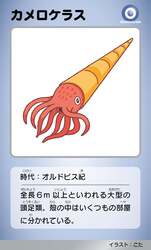 「静岡科学館る・く・るで親子向け古生代企画展開催！三葉虫と化石150点、触れる体験も」の写真