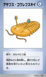 「静岡科学館る・く・るで親子向け古生代企画展開催！三葉虫と化石150点、触れる体験も」の写真