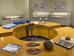 「静岡科学館る・く・るで親子向け古生代企画展開催！三葉虫と化石150点、触れる体験も」の写真