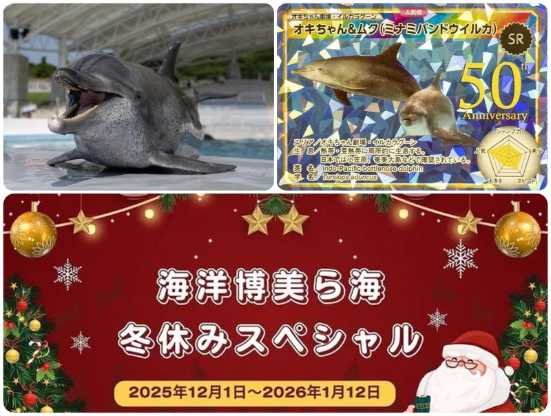 海洋博美ら海冬休みスペシャル