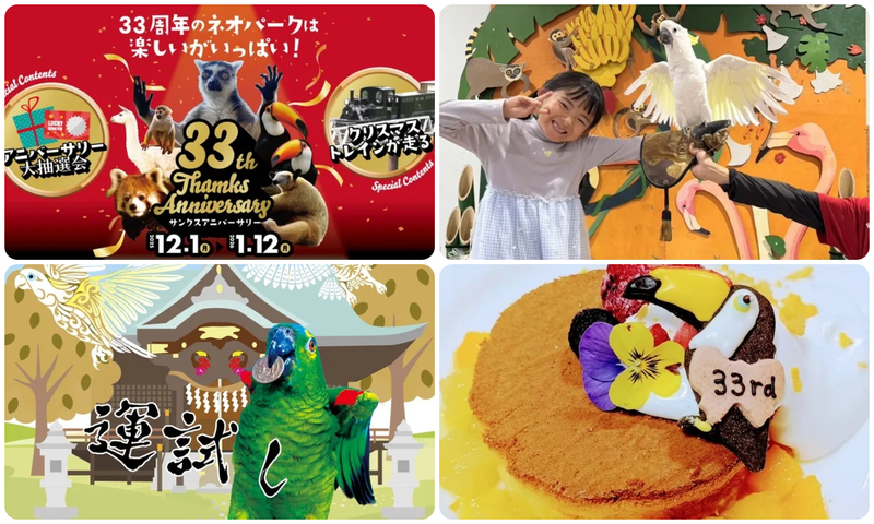 ネオパークオキナワ33周年！サンクスアニバーサリー