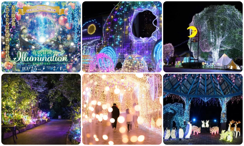 2025-2026 ウインターイルミネーション