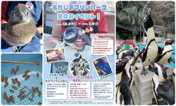 あわしまマリンパーク冬休み特別イベント！