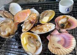 「大阪豊中市の服部緑地で牡蠣小屋！冬の炭火焼きイベント2026年1月開催」の写真