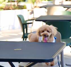 「大阪豊中市の服部緑地で牡蠣小屋！冬の炭火焼きイベント2026年1月開催」の写真