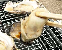 「大阪豊中市の服部緑地で牡蠣小屋！冬の炭火焼きイベント2026年1月開催」の写真