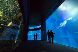 「【2025-26】関西の年末年始・正月三が日も営業！子連れおでかけスポット14選」の写真