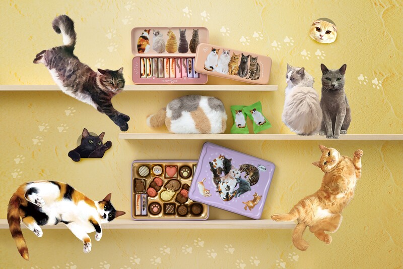 メリーチョコレート バレンタイン「ねこみゃみれ」