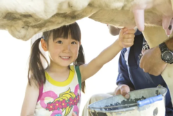 「【1月限定】子供入場無料でお得！「成田ゆめ牧場」でふれあい体験＆牧場グルメ満喫」の写真