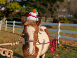 画像はイメージです