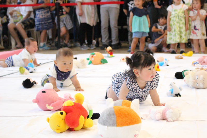 赤ちゃんハイハイ競争