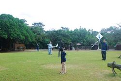 カーブヤー（凧）あげ会