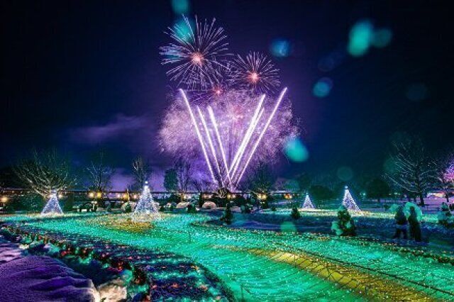 花回廊冬花火｜とっとり花回廊