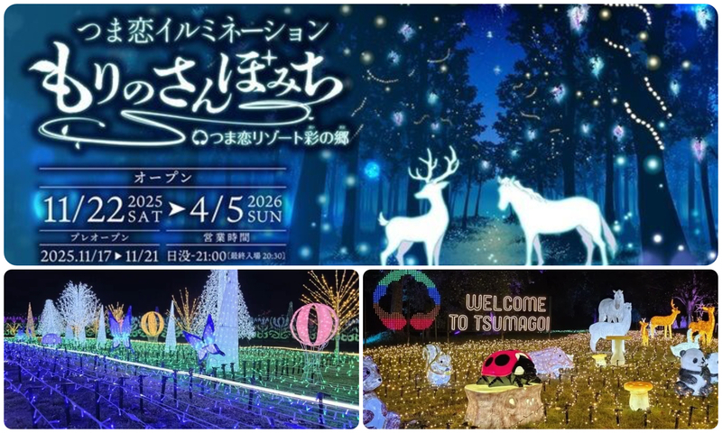 つま恋イルミネーション