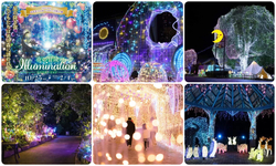 2025-2026 ウインターイルミネーション