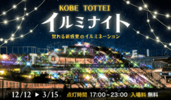 神戸TOTTEIイルミナイト