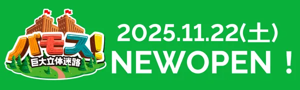 全国のおすすめ巨大＆立体迷路18選！　日本最大級＆変わり種も！の30枚目の写真