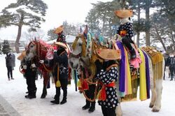 チャグチャグ馬コ初詣｜（C）一般社団法人滝沢市観光物産協会