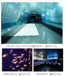 「港区のアクアパーク品川で親子の水族館デビュー！　0歳〜1歳限定の貸切プラン登場」の写真