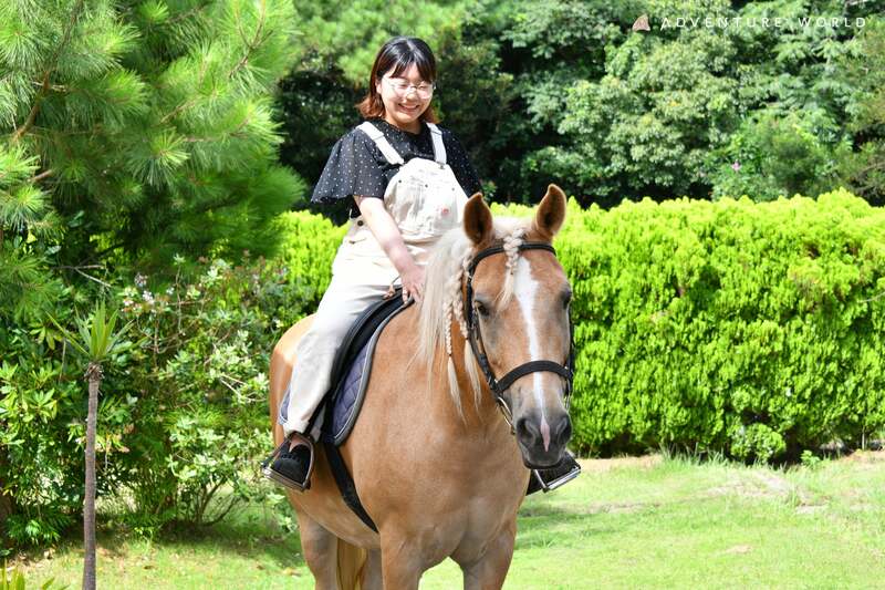 アニマルライド