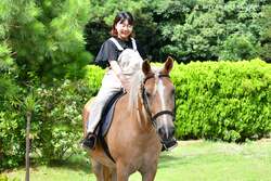 アニマルライド