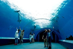 「【2025-26】横浜市の年末年始・正月三が日も営業！子連れおでかけスポット7選」の写真